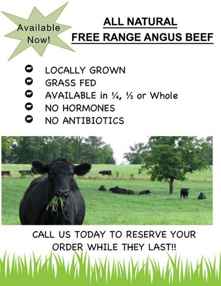 Certified Organic Angus Beef Flyer