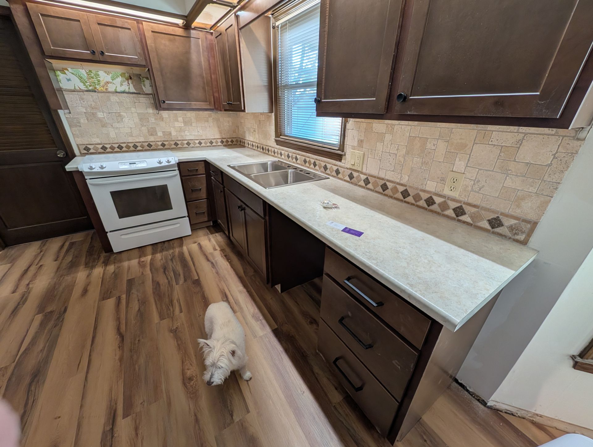 Kitchen with dark brown cabinets, light countertops, and a white stove. A dog sits on the wood floor.