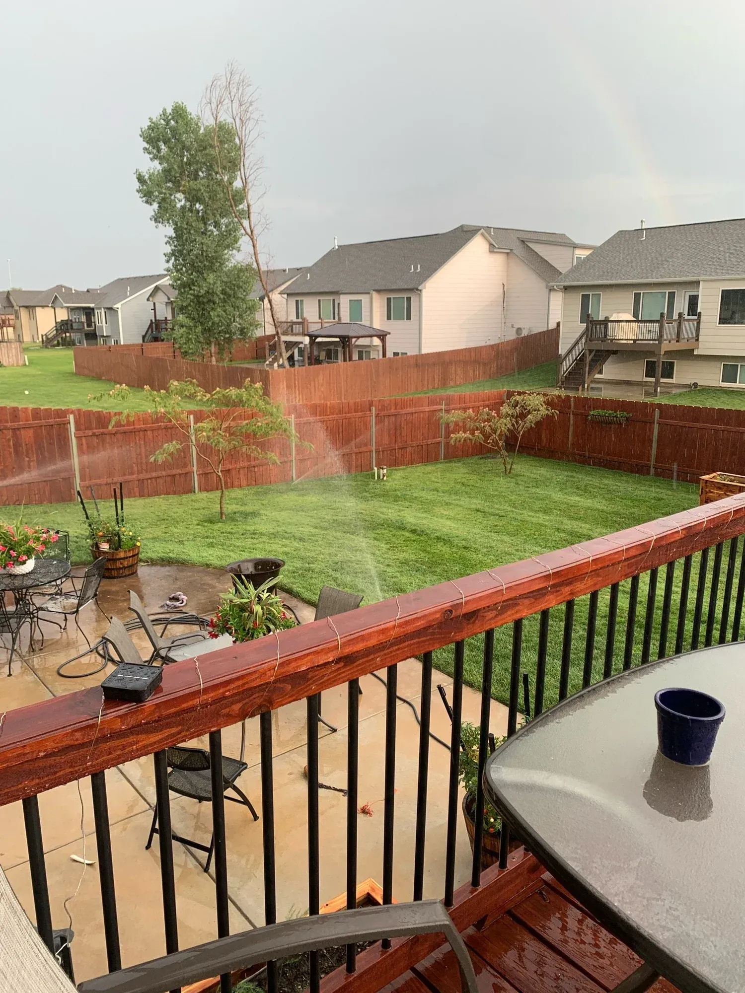 Rainy backyard scene with sprinkler running on green grass; red fence, homes in the background.