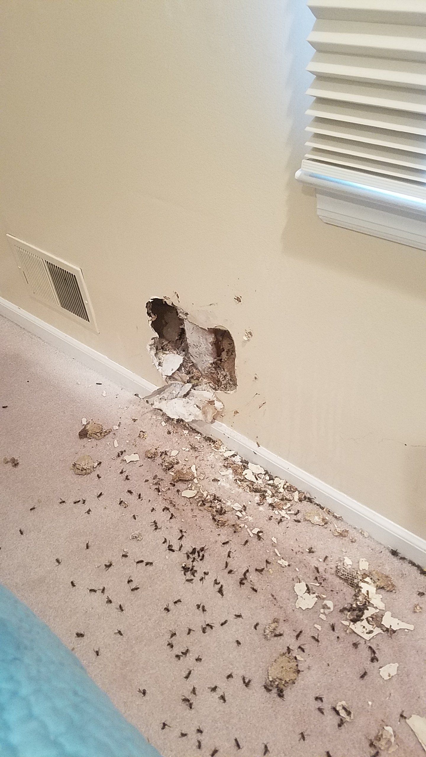 Pest control