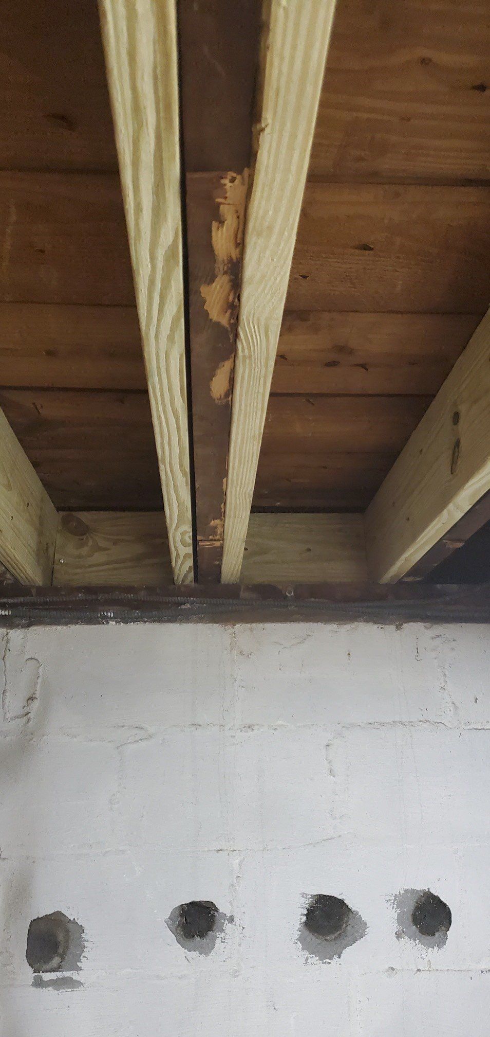 Termite Damage Repair