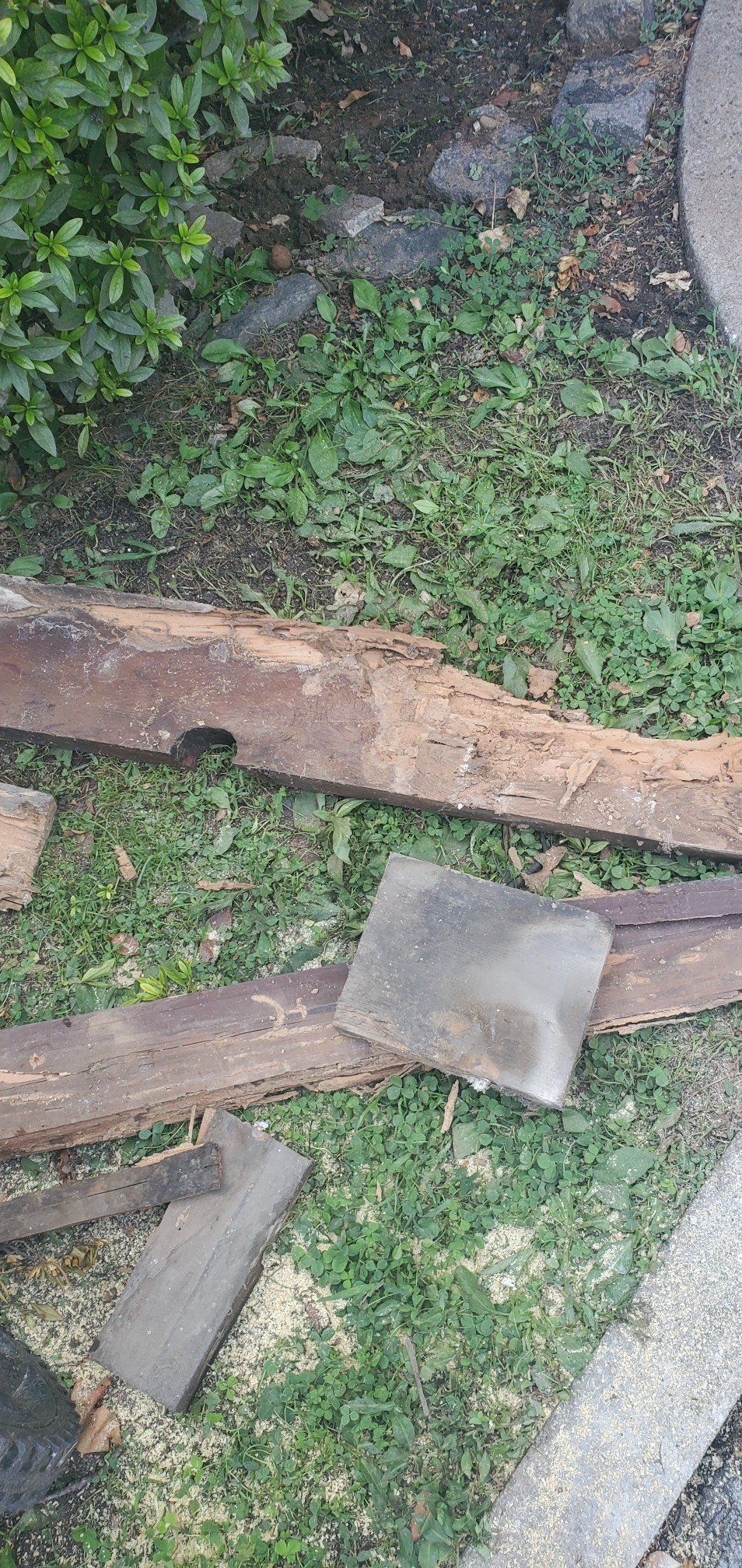 Termite Damage Sill Plates Removed