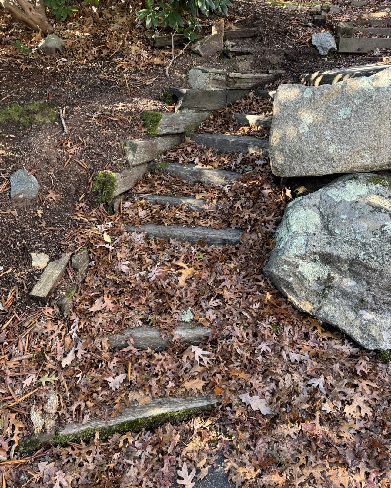 A set of stone steps leading up to a large rock in the woods.