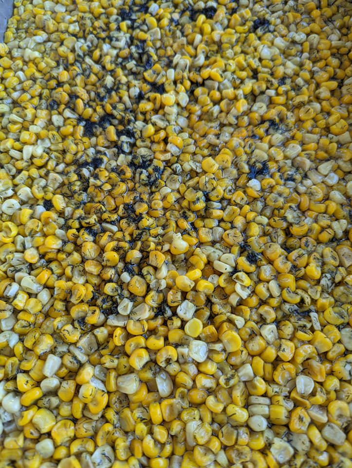A close up of a pile of corn on the cob.