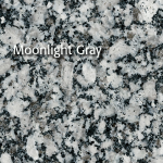 Moonlight Gray granite with mottled white, gray, and black speckles.