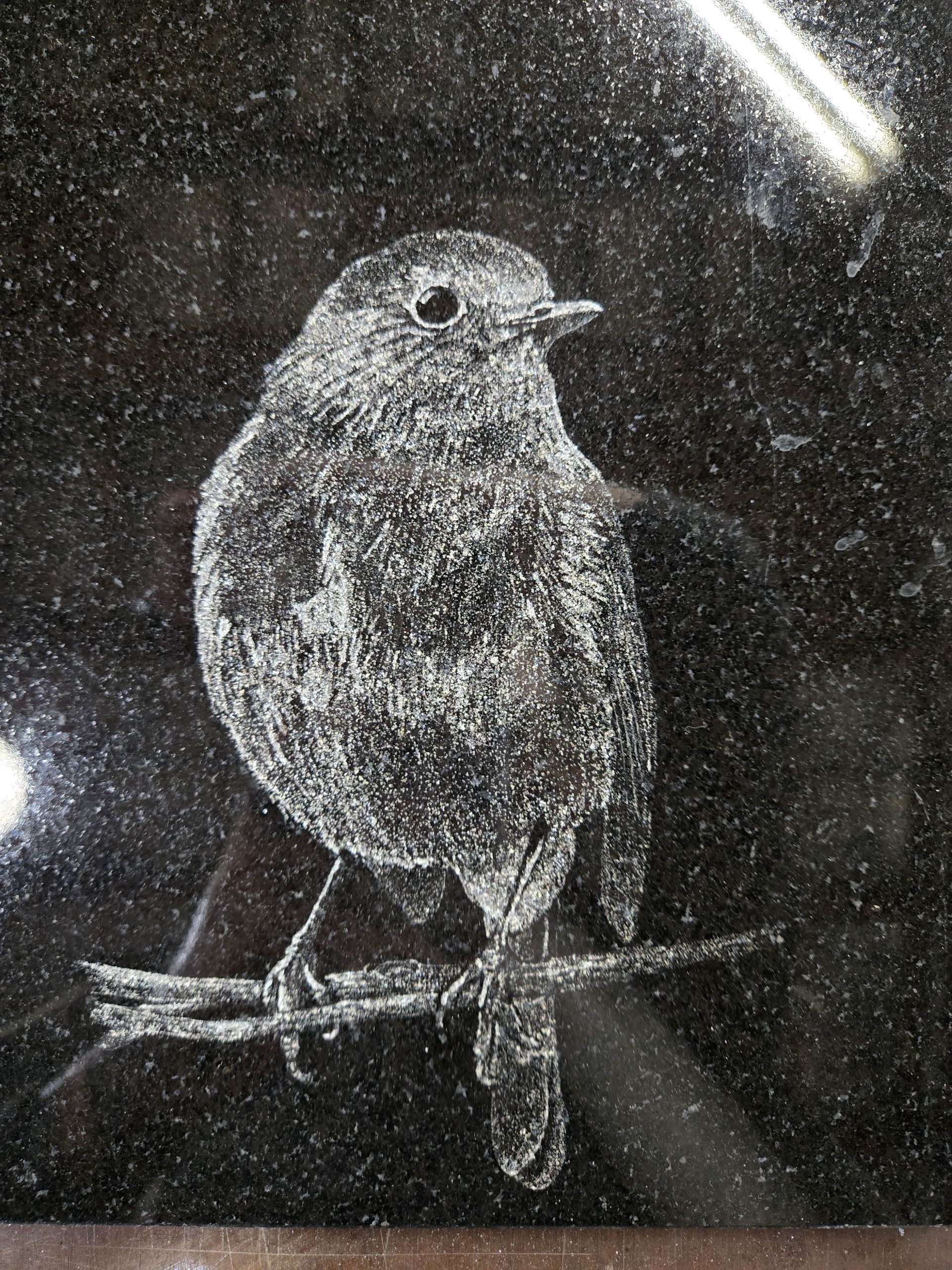 Engraved outline of a small bird on a dark, speckled surface. Bird perched on a branch, facing right.