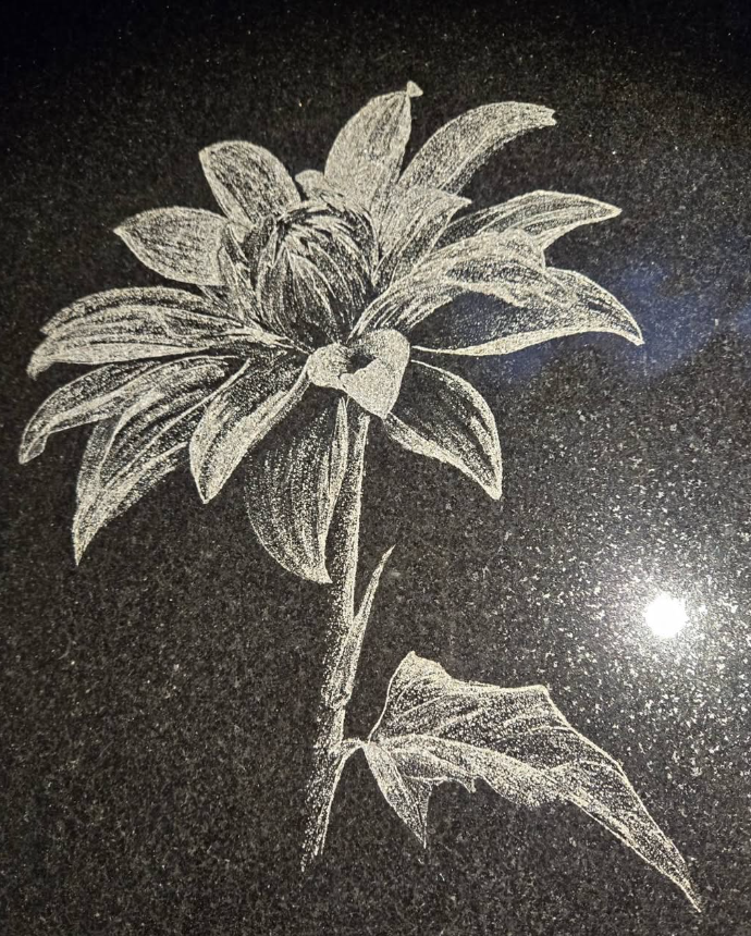 White etched dahlia flower on a black granite surface.