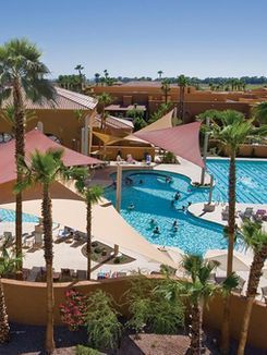 A large swimming pool surrounded by palm trees and umbrellas