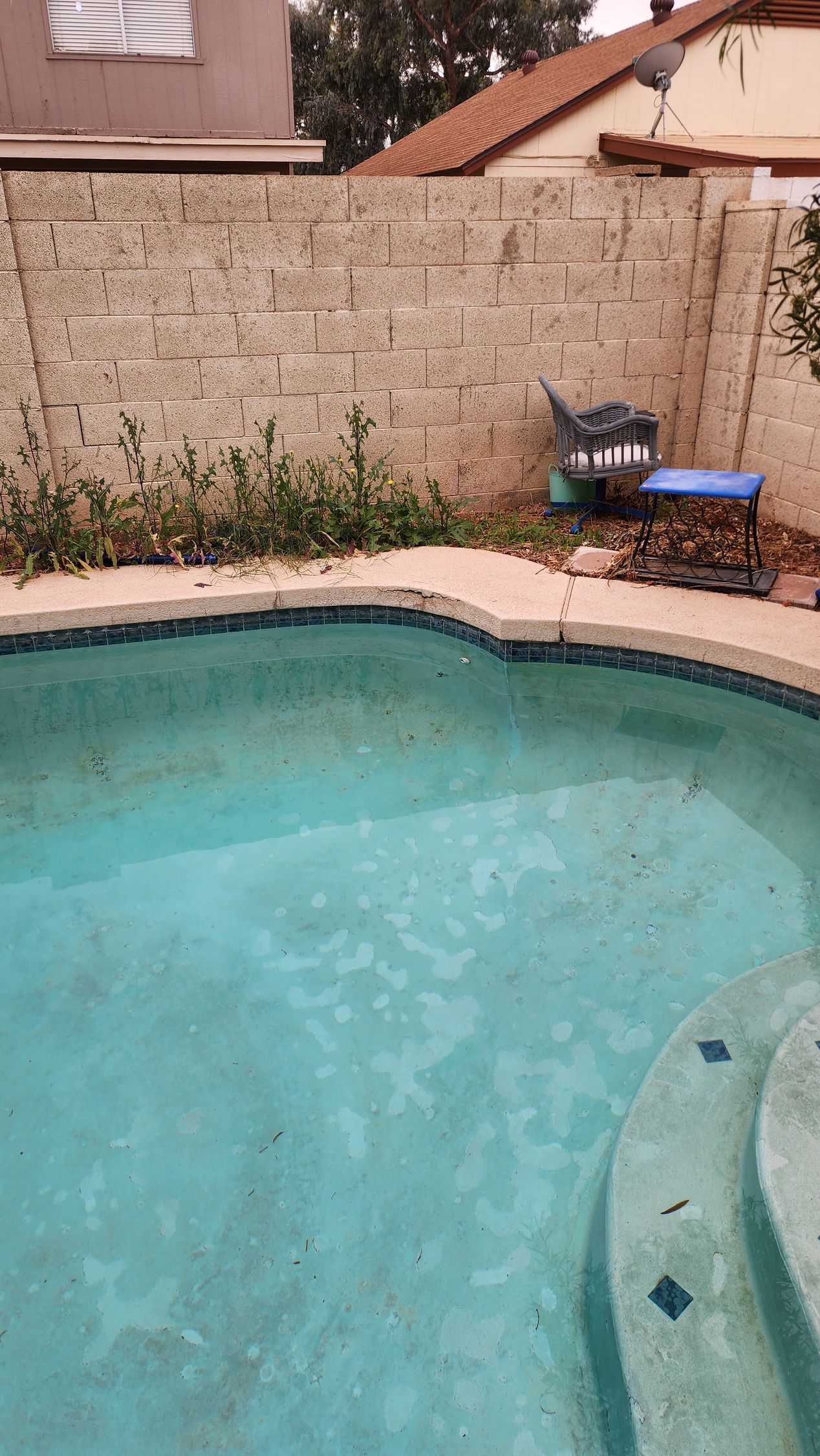 A swimming pool with stairs and a brick wall in the background.