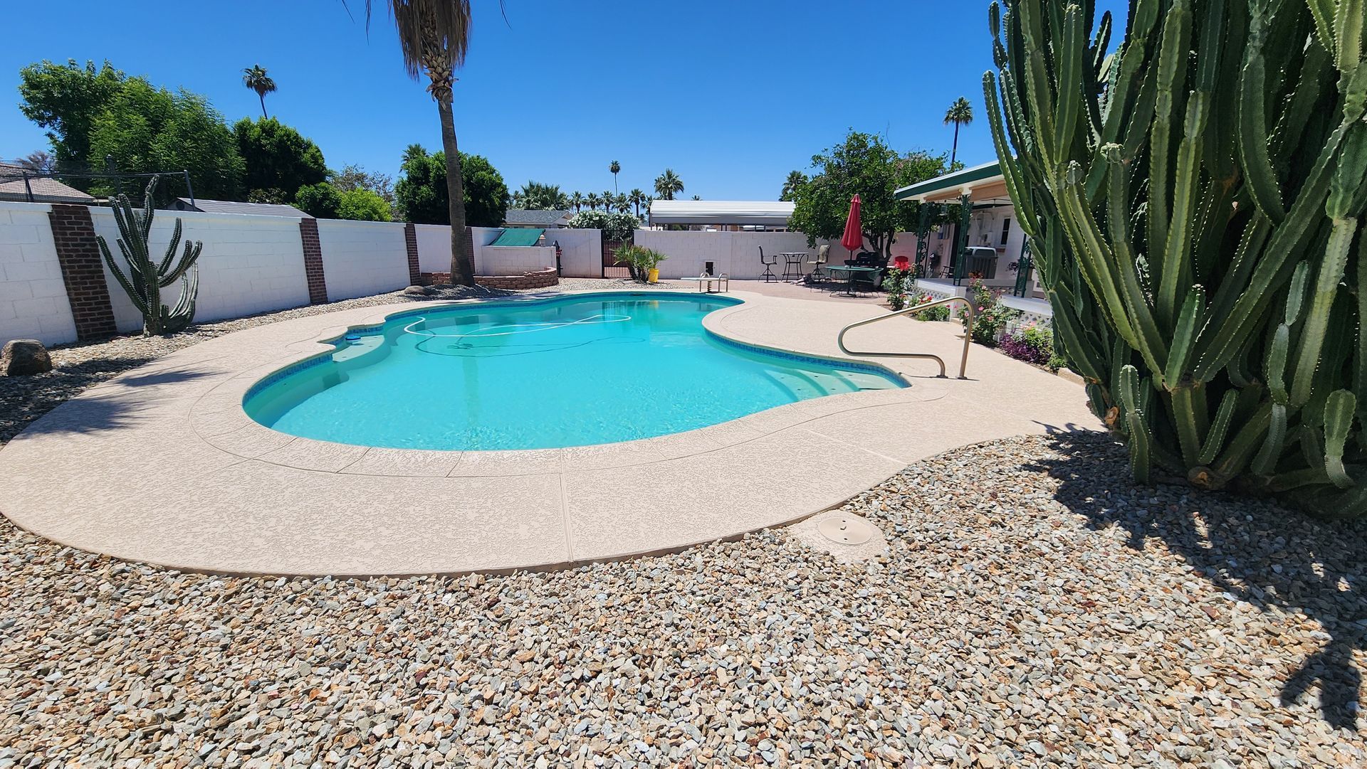 A large swimming pool with a cactus in the foreground
