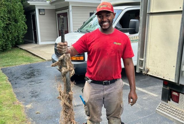 Pacific Green Landscape Maintenance