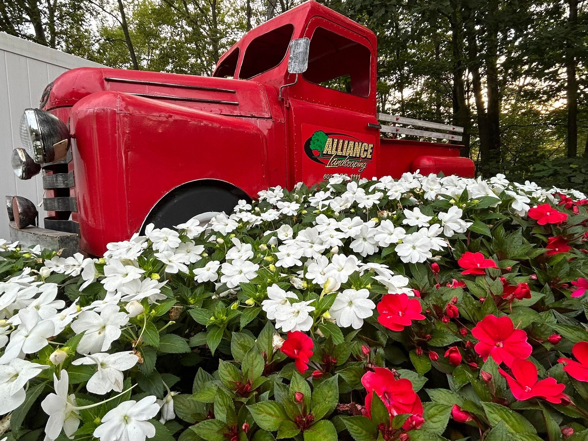Red metal truck overflowing with red and white flowers.