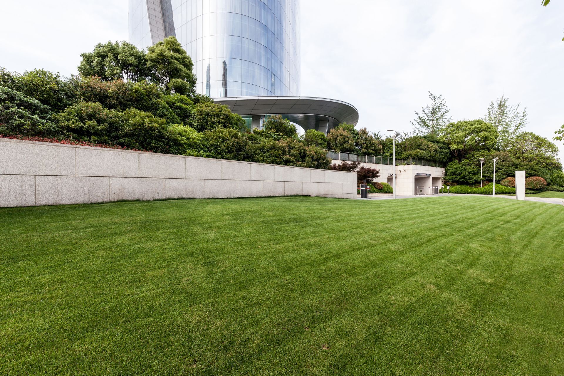 Green lawn with a low stone wall topped with green bushes, leading to a modern building.