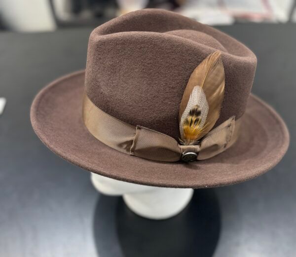A brown fedora hat with a feather on it