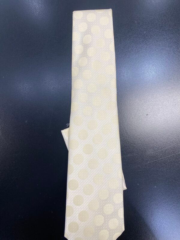 A white tie with white polka dots on it