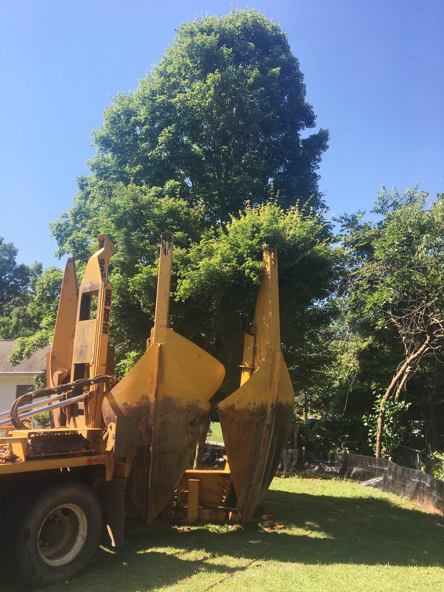 Tree ArboristTree moving service Arborist serving metro Atlanta