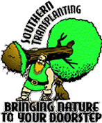 Southern Transplanting Inc. - Logo