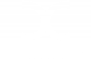 ClearChoice Plumbing LLC - Logo