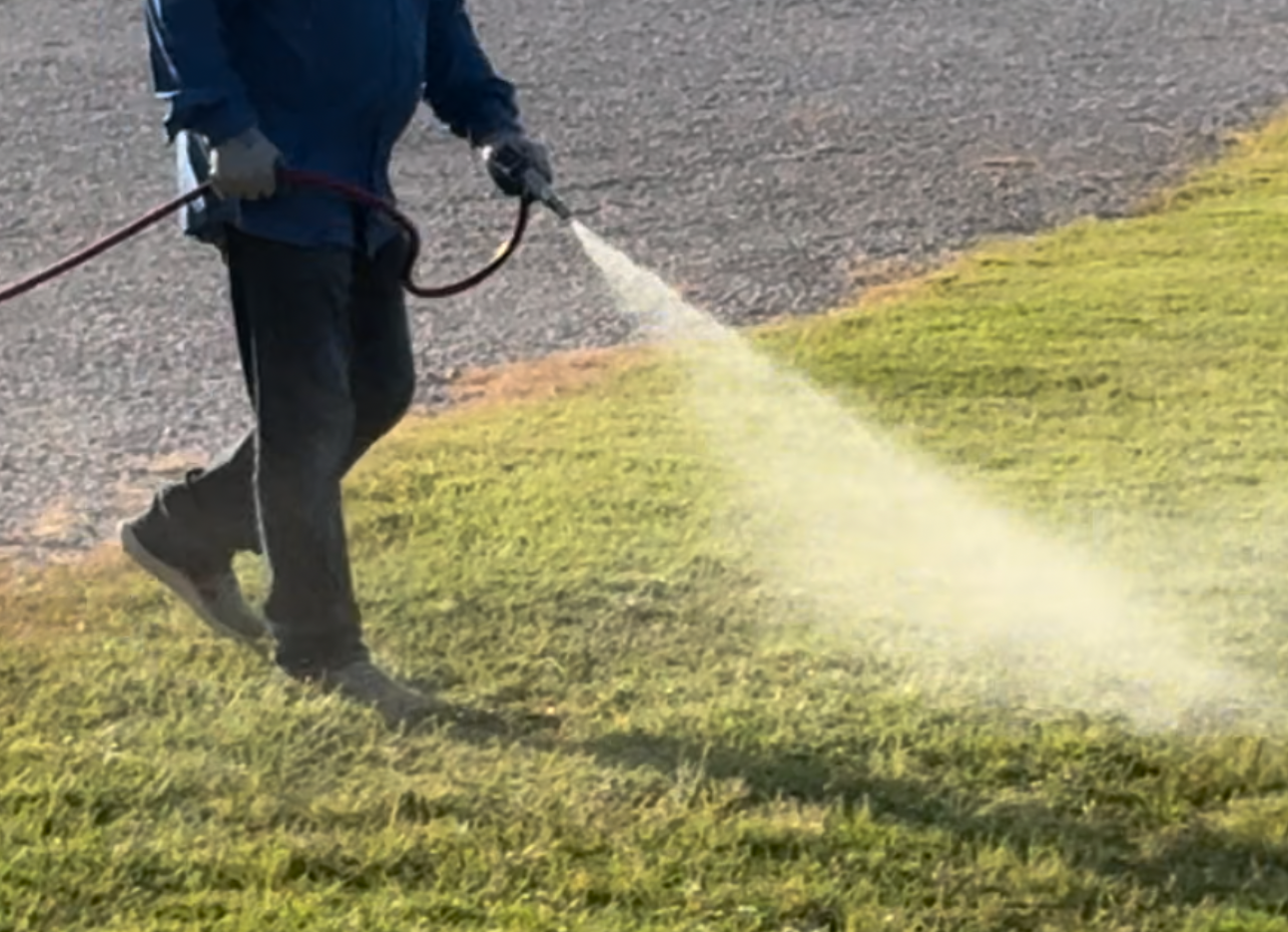 Man spraying grass with a hose in a grassy area near RVs and a gravel driveway.
