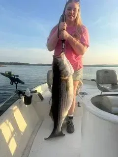 Person on a boat holding a large fish at sunset.
