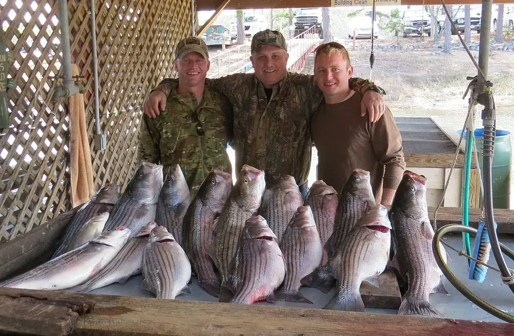 Three men pose behind a row of large fish on a dock under a covered shelter.