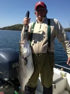 Man standing on a boat holding a large striped fish, with calm water and shoreline in the background