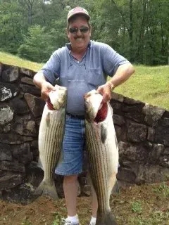 Person holding two large striped fish in front of a stone wall outdoors