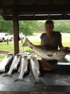 Person holding a large fish beside several striped fish on a table under a pavilion.