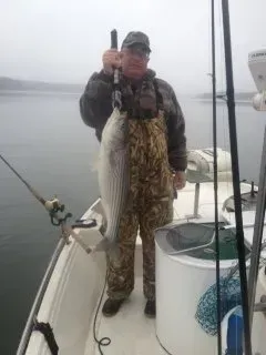 Angler on a boat holding a large striped fish over calm water on a foggy day