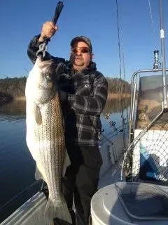Man on a boat holding a large striped fish vertically over calm water