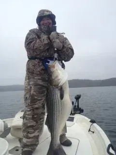Person on a boat holding a large striped fish on a cloudy lake.