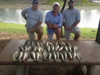 Three men kneel behind a table covered with a large catch of fish by a lakeside.