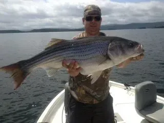 Angler on a boat holding a large striped fish over calm water with mountains in the distance