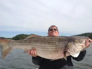 Person holding a large striped fish on a boat with water and shoreline in the background