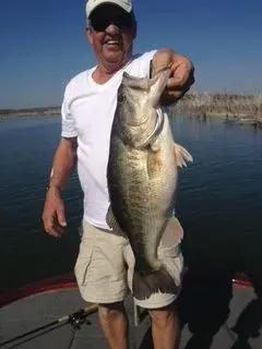 Man on a boat holding a large bass over calm water under a clear blue sky