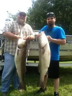 Two men standing outdoors holding large striped fish by a truck, one in a blue shirt and one in a plaid shirt