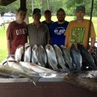 Five men stand behind a table covered with large striped fish outdoors under a shelter.