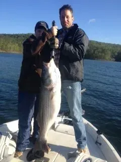Two anglers on a boat holding a large fish on a sunny lake