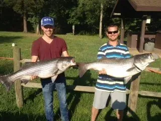 Two men holding large fish outdoors by a wooden fence.