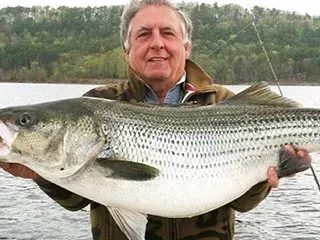 Man holding a large striped bass by a lakeside, with trees in the background