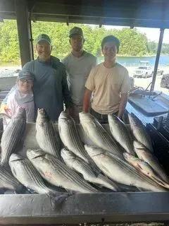 Three people pose behind a table piled with large striped fish at an outdoor dock.