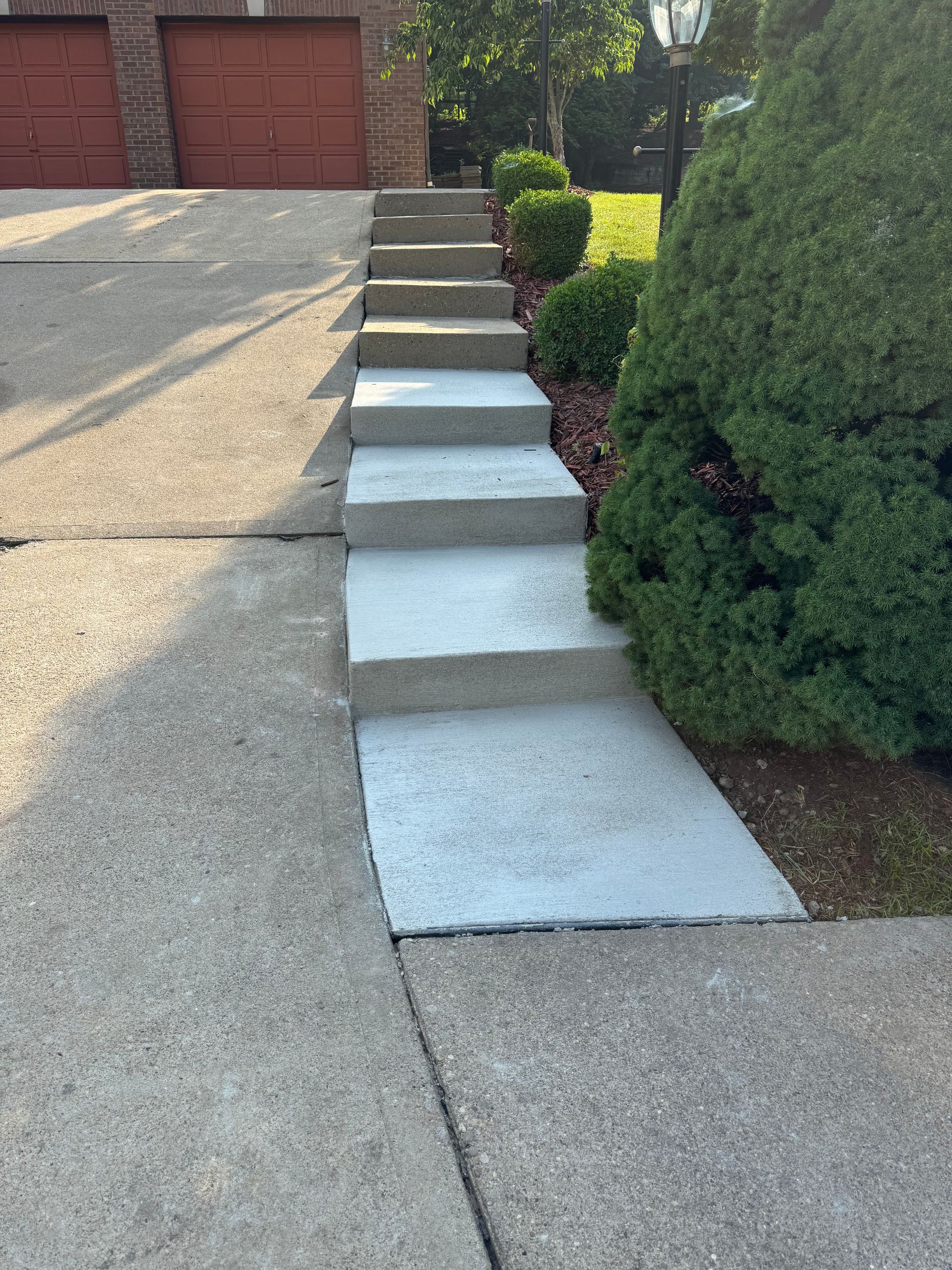 Concrete steps leading up to a house, flanked by bushes on one side and driveway on the other.