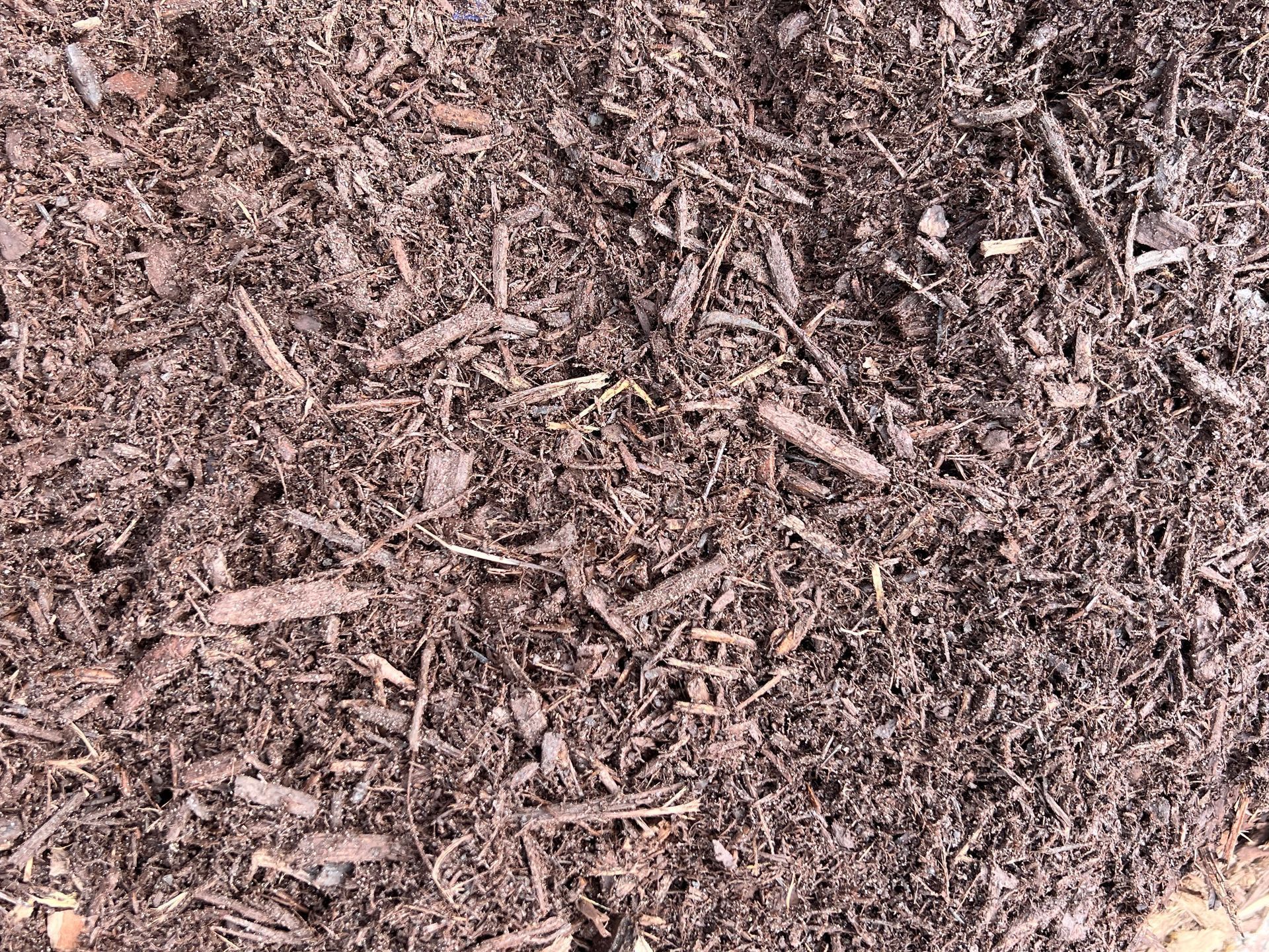 A dense texture of dark brown, shredded wood mulch covering the ground.