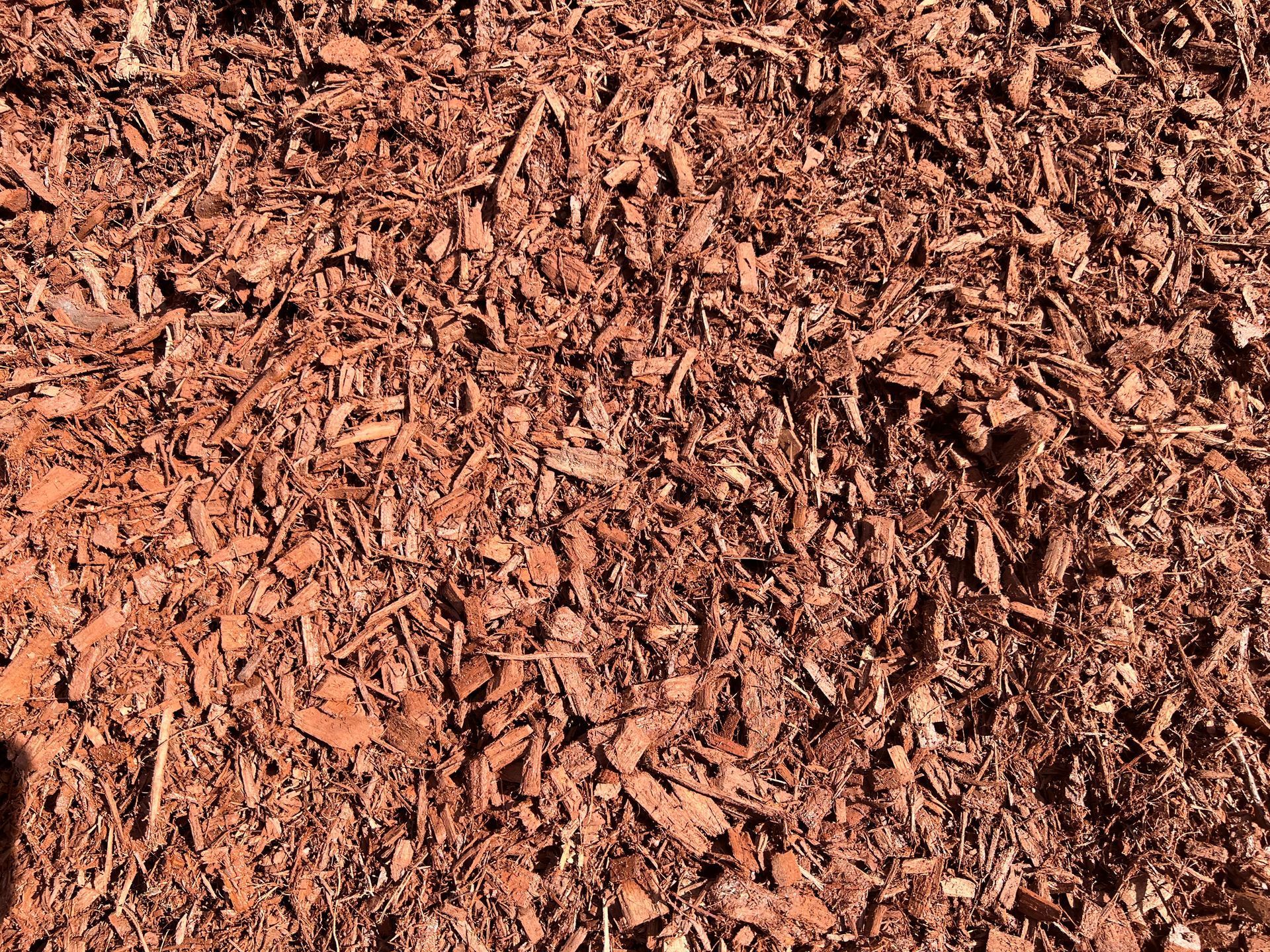 A close-up view of coarse, reddish-brown wood mulch chips covering the ground.