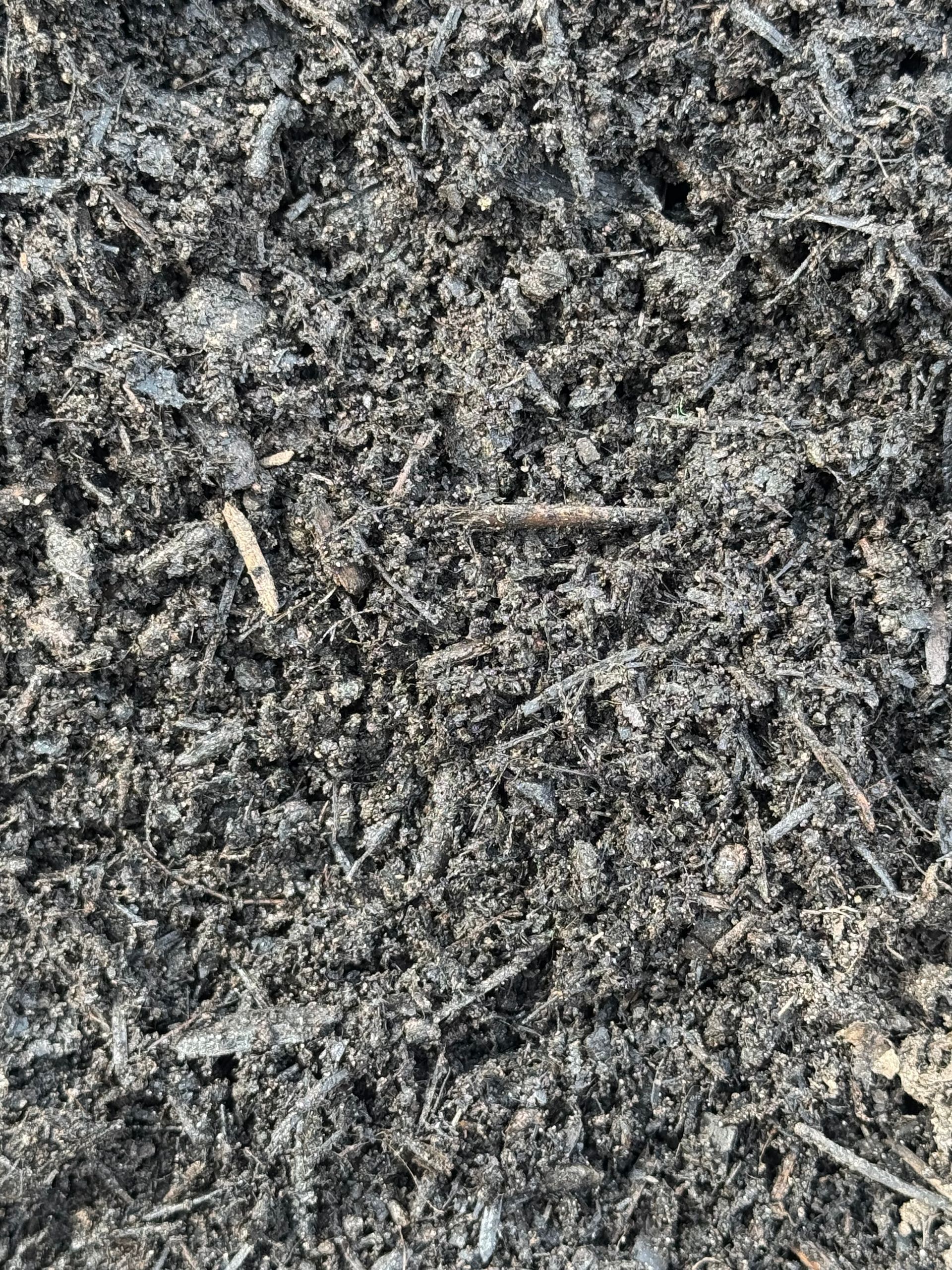 Close-up of dark, nutrient-rich soil mixed with small wood chips and organic matter.