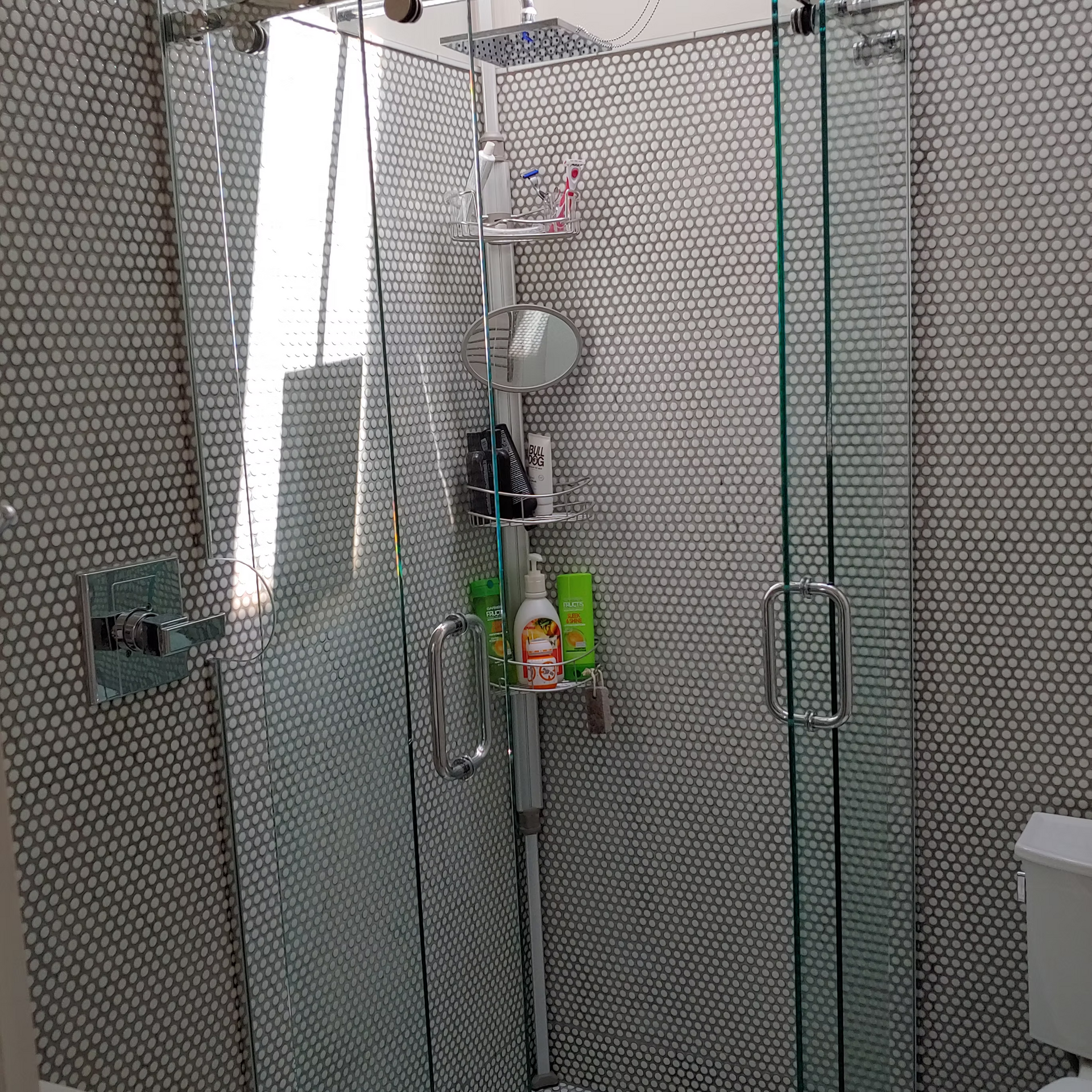 A bathroom with a glass shower door and a toilet.