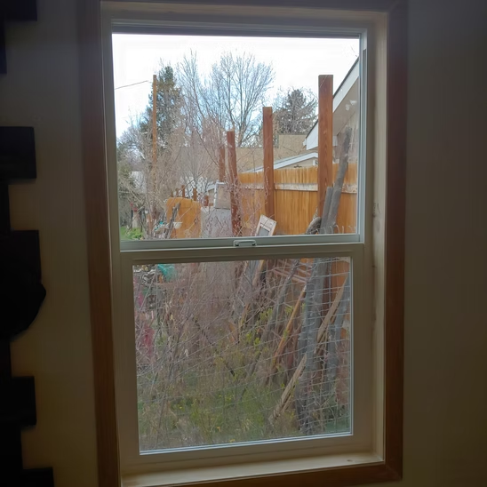 A window with a view of a wooden fence and trees in a room.