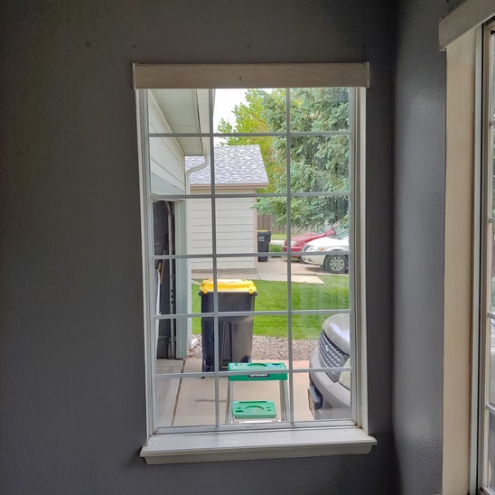 A window with bars on it is looking out to a yard.