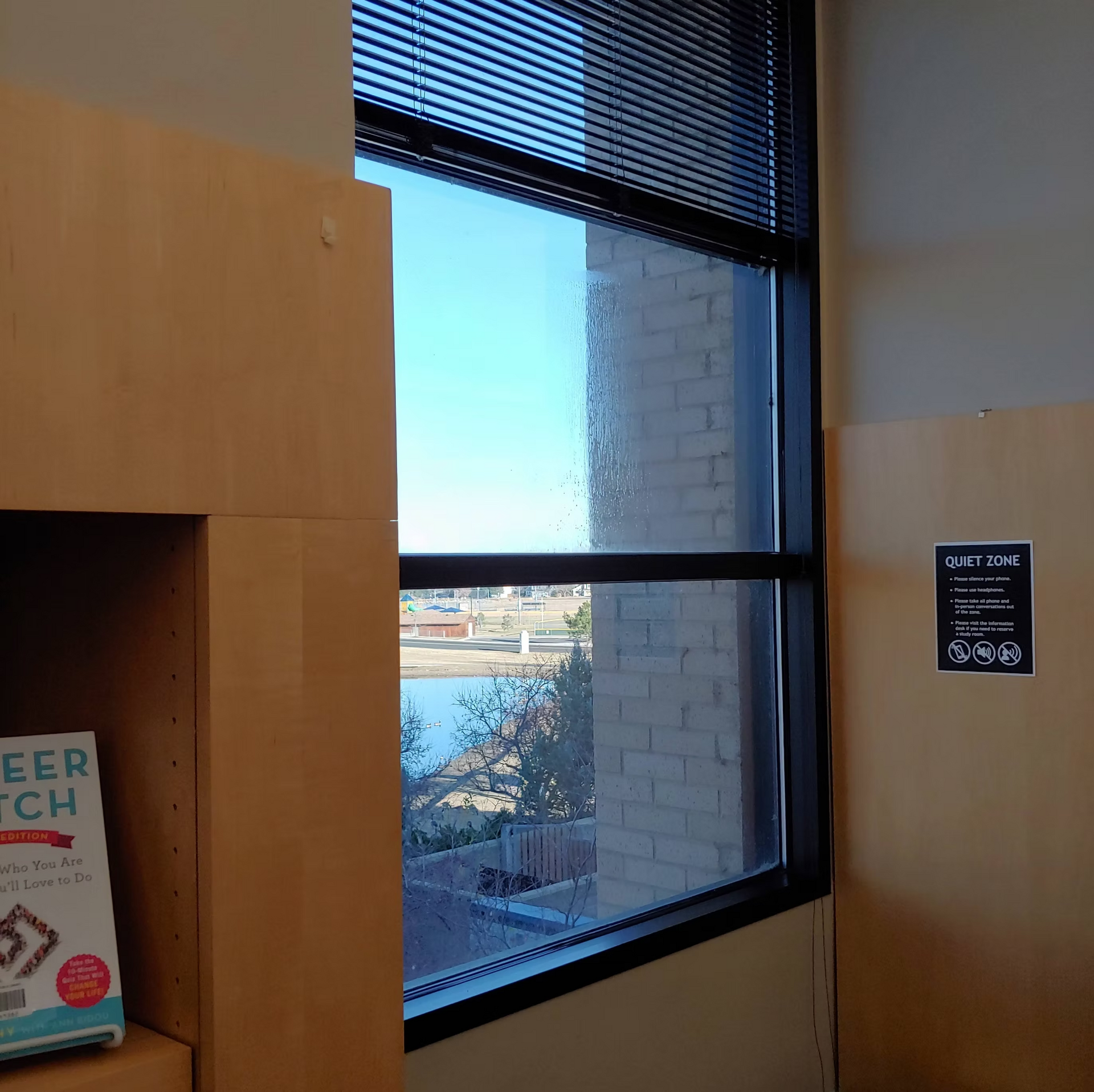 A book called career tech sits on a shelf next to a window