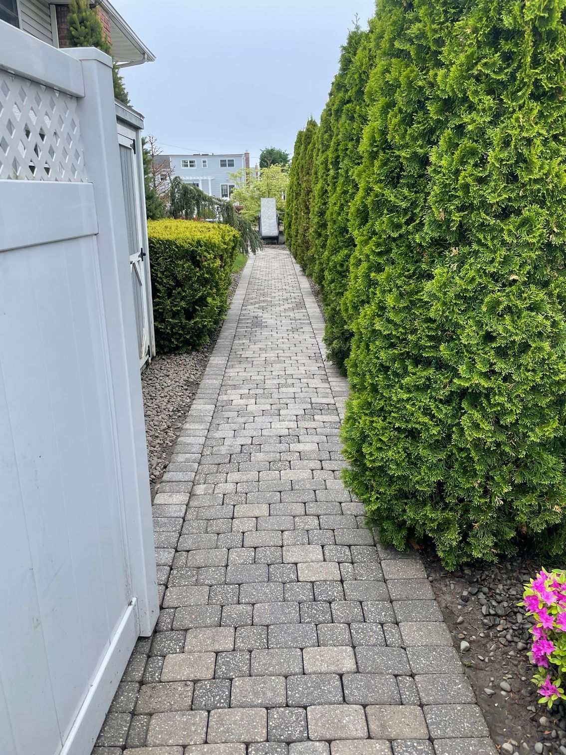 Brick path flanked by green hedges and a light blue shed after.